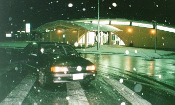 Primera in snow